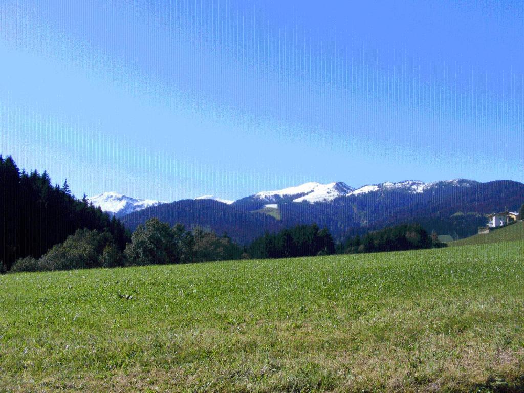 Landgasthof Dorferwirt Oberau Værelse billede